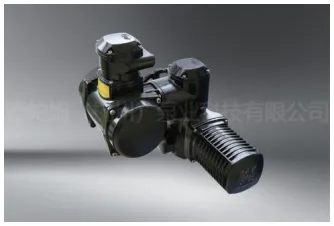 Рис. F Электрический механизм регулирования хода