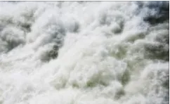 роторного насоса (13)