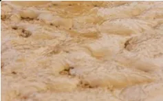 роторного насоса (15)